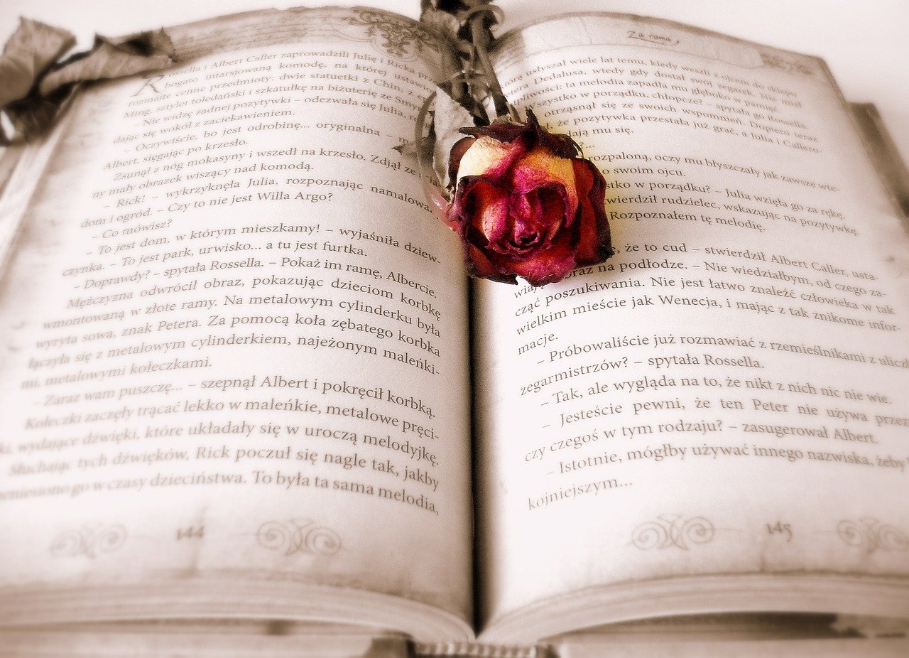 book, reading, love story